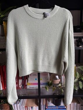 Divided Cropped Crewneck Sweater in Sage
